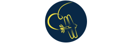 Plane Icon Plane Icon